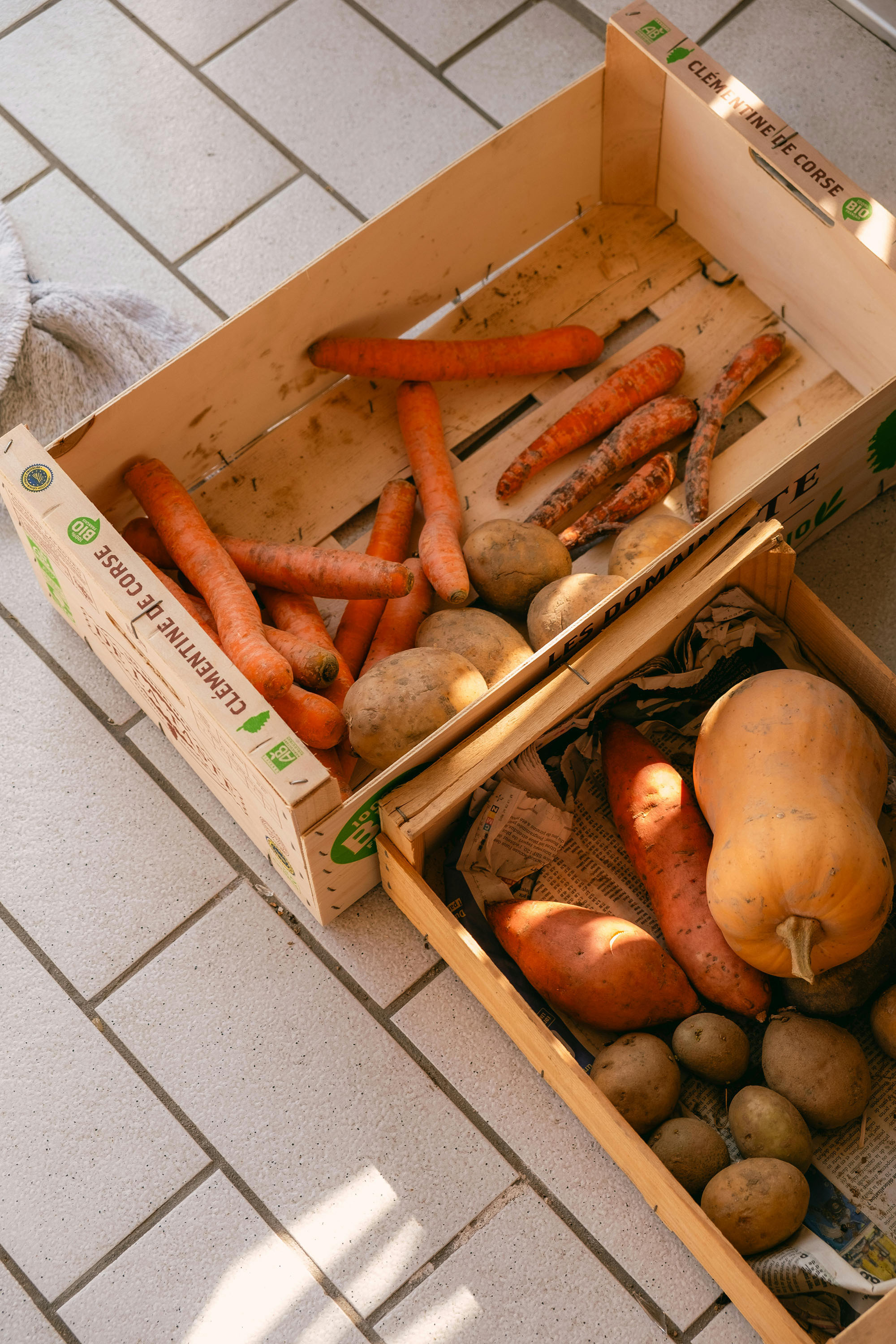 Boxes filled with fresh CSA vegetables