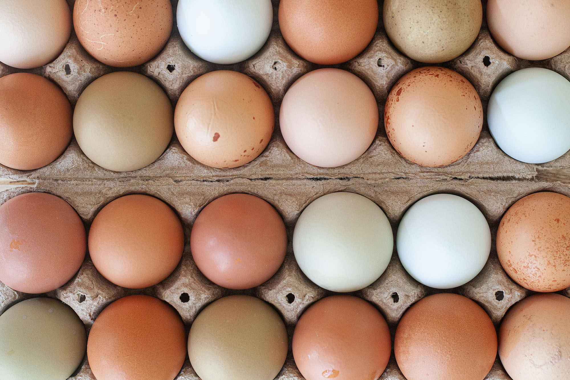 Fresh farm eggs in a carton