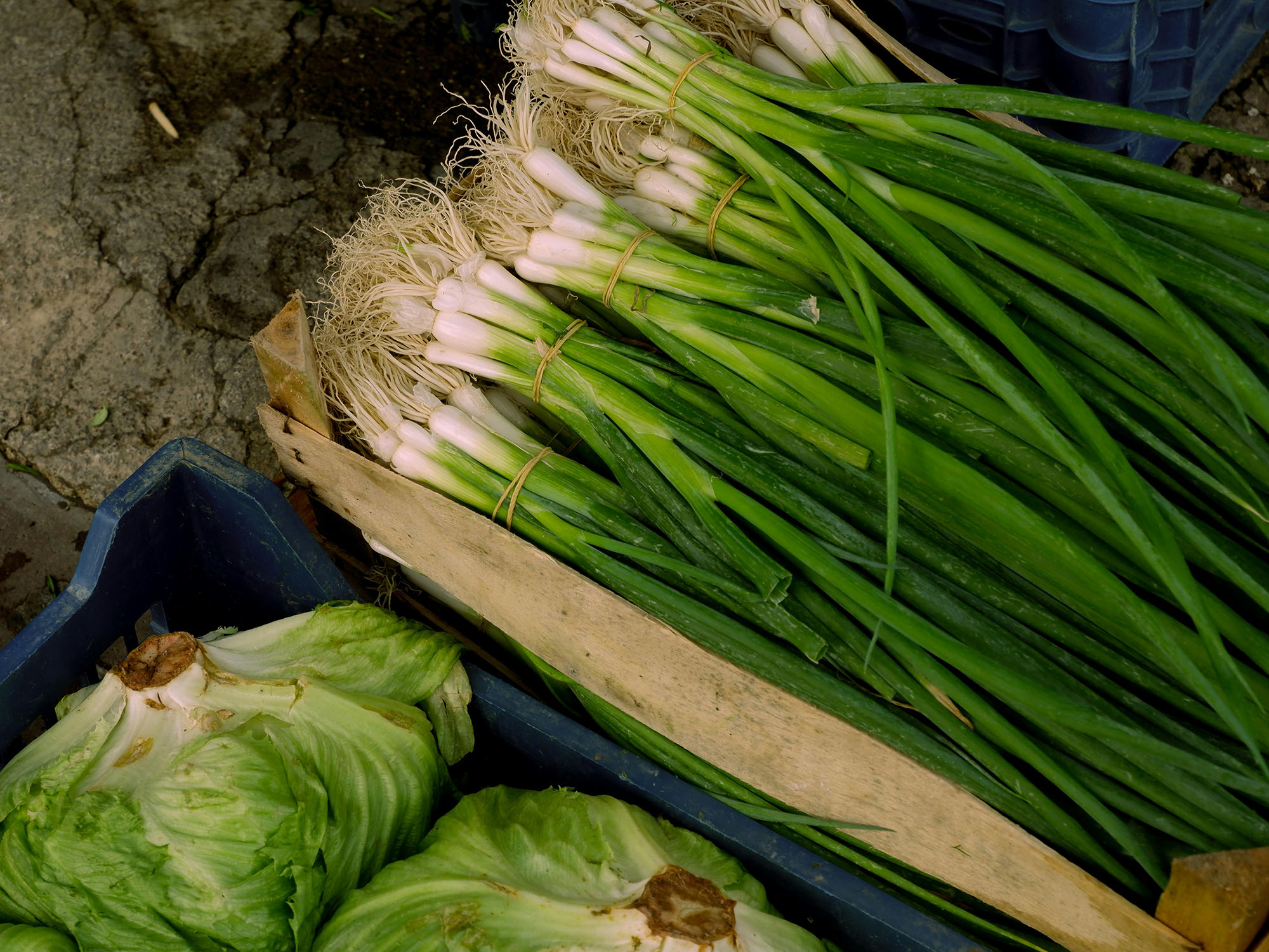 Fresh vegetables displayed in farm stand boxes