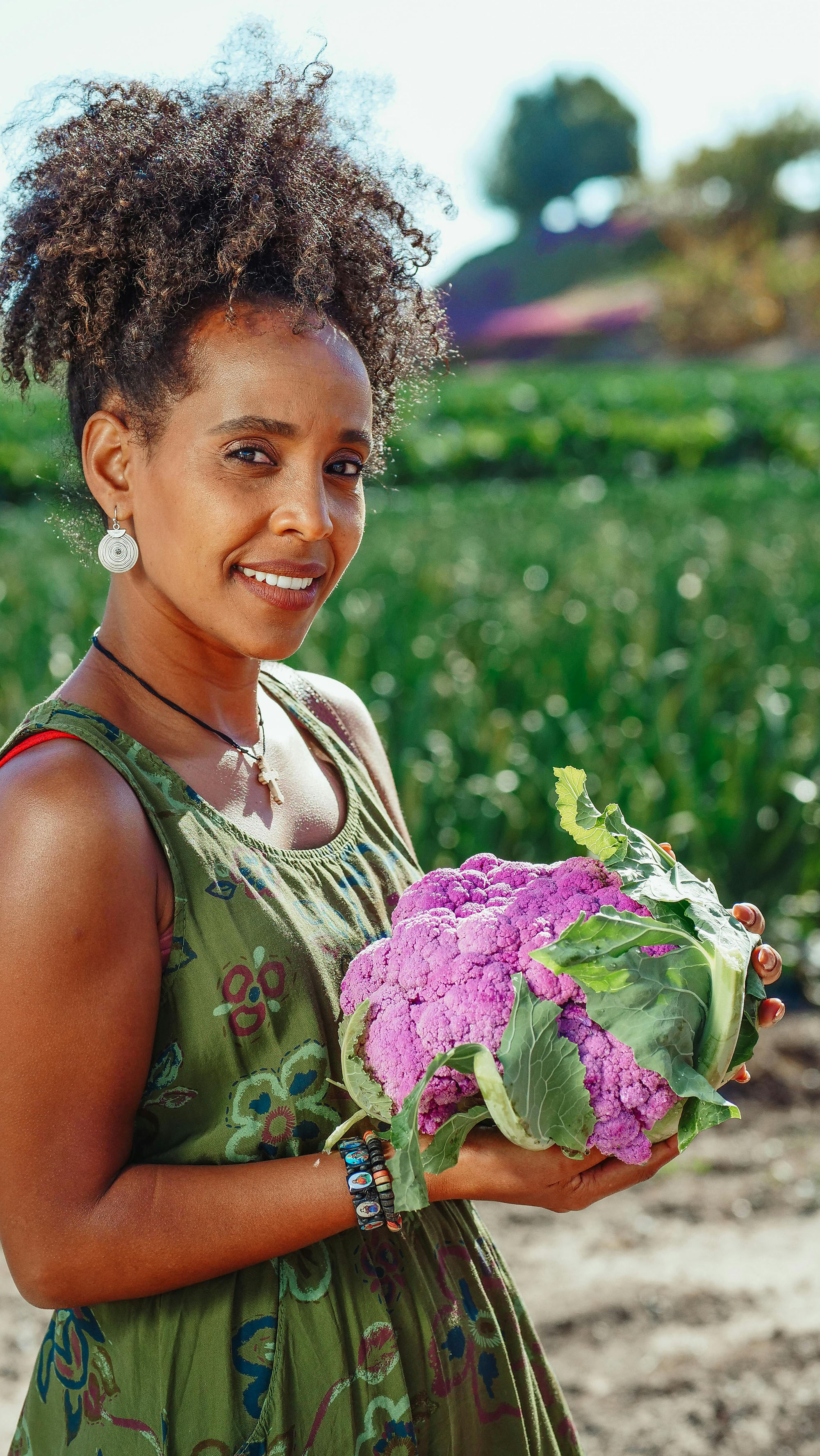 Farmer holding fresh cauliflower in a garden
